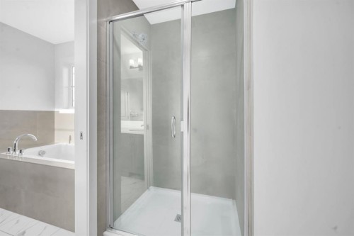 119 Homestead Common Ne, Calgary, AB - Indoor Photo Showing Bathroom