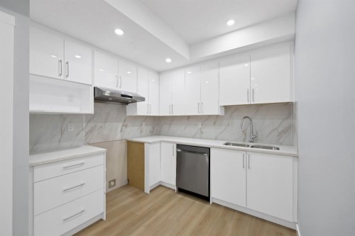 119 Homestead Common Ne, Calgary, AB - Indoor Photo Showing Kitchen With Double Sink