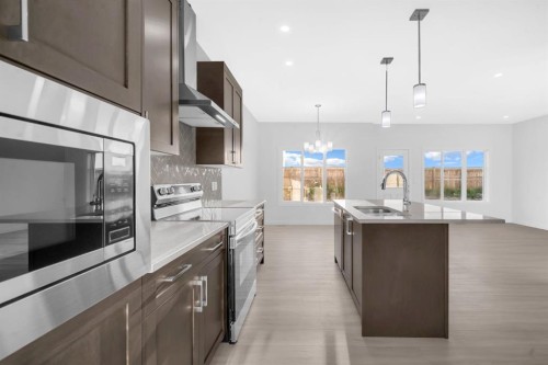 119 Homestead Common Ne, Calgary, AB - Indoor Photo Showing Kitchen With Upgraded Kitchen