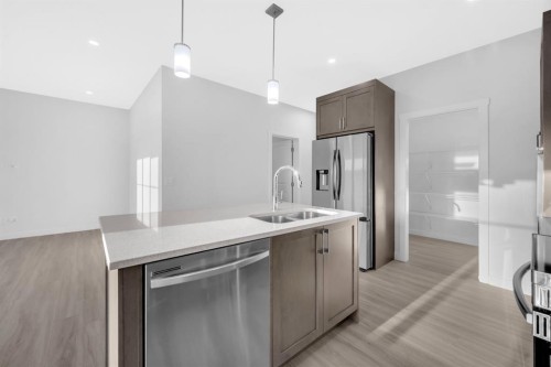 119 Homestead Common Ne, Calgary, AB - Indoor Photo Showing Kitchen With Double Sink With Upgraded Kitchen