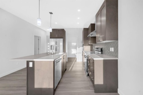 119 Homestead Common Ne, Calgary, AB - Indoor Photo Showing Kitchen With Upgraded Kitchen