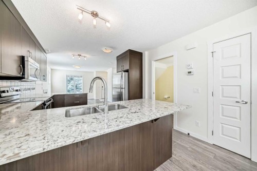 204 Auburn Bay Circle Se, Calgary, AB - Indoor Photo Showing Kitchen With Double Sink With Upgraded Kitchen