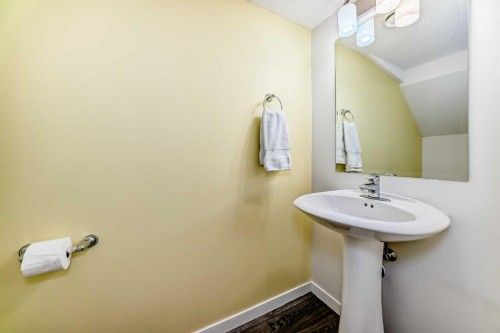 204 Auburn Bay Circle Se, Calgary, AB - Indoor Photo Showing Bathroom