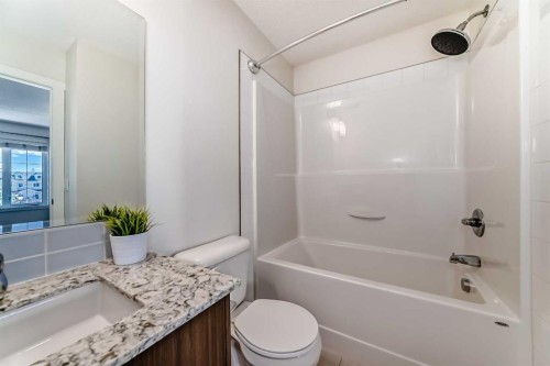 204 Auburn Bay Circle Se, Calgary, AB - Indoor Photo Showing Bathroom
