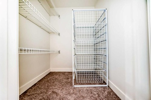 204 Auburn Bay Circle Se, Calgary, AB - Indoor With Storage