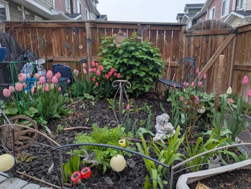 204 Auburn Bay Circle Se, Calgary, AB - Outdoor