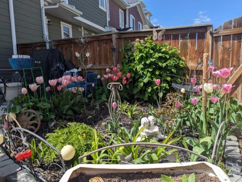 204 Auburn Bay Circle Se, Calgary, AB - Outdoor