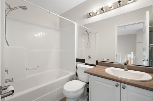 95 Coventry Road Ne, Calgary, AB - Indoor Photo Showing Bathroom