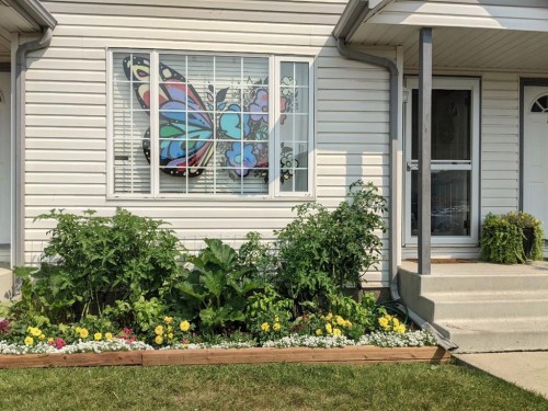 6 Green Meadow Crescent, Strathmore, AB - Outdoor