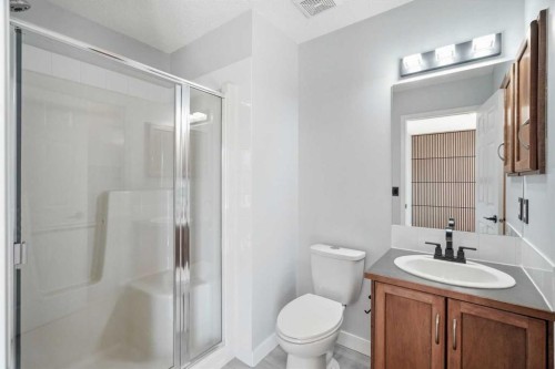 337 Copperfield Boulevard Se, Calgary, AB - Indoor Photo Showing Bathroom