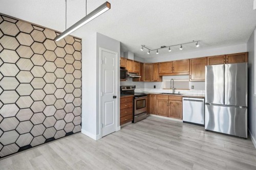337 Copperfield Boulevard Se, Calgary, AB - Indoor Photo Showing Kitchen With Stainless Steel Kitchen