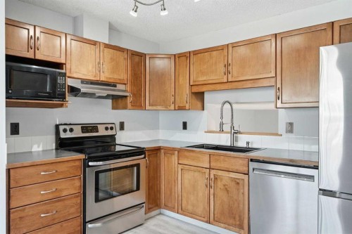 337 Copperfield Boulevard Se, Calgary, AB - Indoor Photo Showing Kitchen With Stainless Steel Kitchen