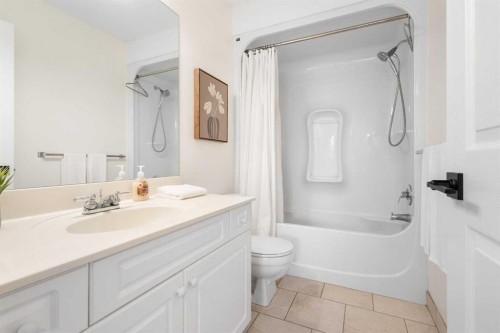 66 Inverness Close Se, Calgary, AB - Indoor Photo Showing Bathroom
