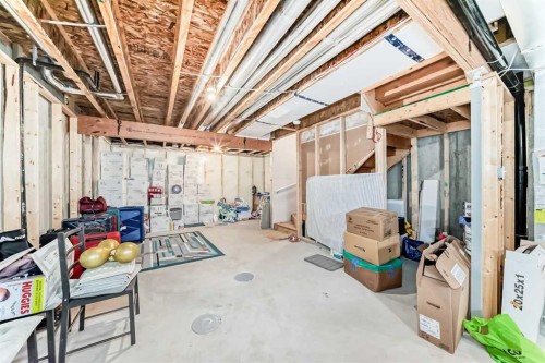 33 Savanna Manor Ne, Calgary, AB - Indoor Photo Showing Basement
