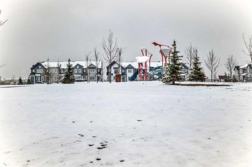 33 Savanna Manor Ne, Calgary, AB - Outdoor