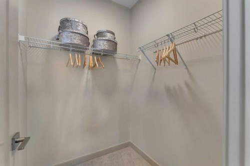 973 South Shore Terrace, Chestermere, AB - Indoor With Storage