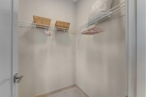 973 South Shore Terrace, Chestermere, AB - Indoor With Storage