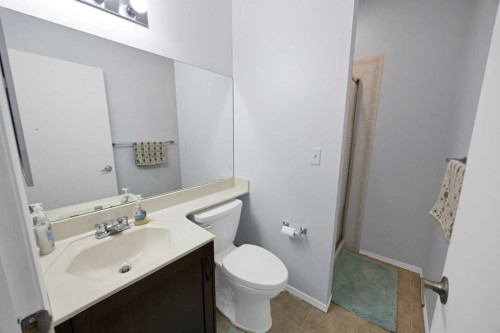 147 Harvest Oak Crescent Ne, Calgary, AB - Indoor Photo Showing Bathroom