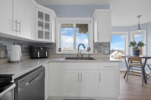 147 Harvest Oak Crescent Ne, Calgary, AB - Indoor Photo Showing Kitchen With Double Sink