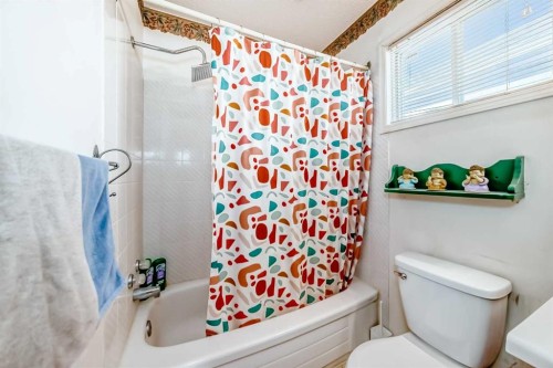 142 Hunterhorn Drive Ne, Calgary, AB - Indoor Photo Showing Bathroom
