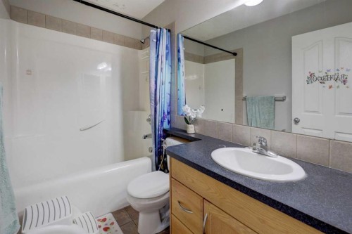 17 Royal Birch Way Nw, Calgary, AB - Indoor Photo Showing Bathroom