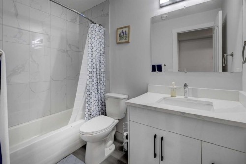 17 Royal Birch Way Nw, Calgary, AB - Indoor Photo Showing Bathroom