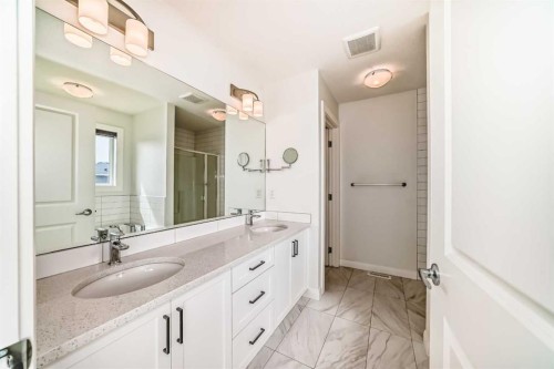 84 Evansfield Close Nw, Calgary, AB - Indoor Photo Showing Bathroom