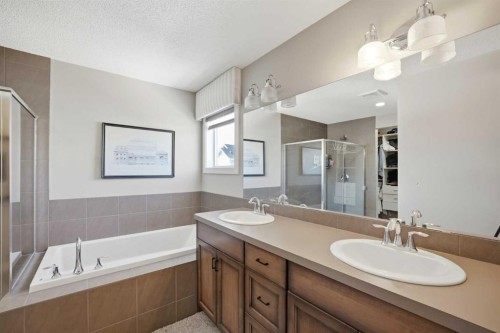 21 Savanna Green Ne, Calgary, AB - Indoor Photo Showing Bathroom