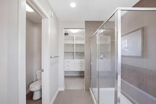 21 Savanna Green Ne, Calgary, AB - Indoor Photo Showing Bathroom