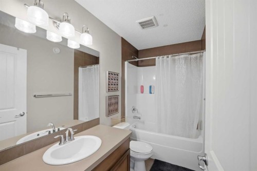 21 Savanna Green Ne, Calgary, AB - Indoor Photo Showing Bathroom