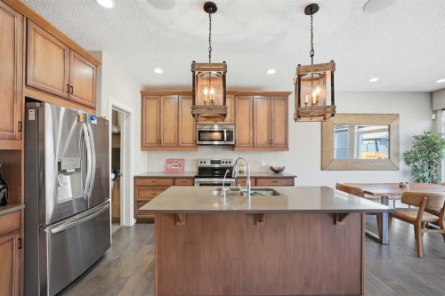 21 Savanna Green Ne, Calgary, AB - Indoor Photo Showing Kitchen
