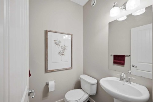 21 Savanna Green Ne, Calgary, AB - Indoor Photo Showing Bathroom