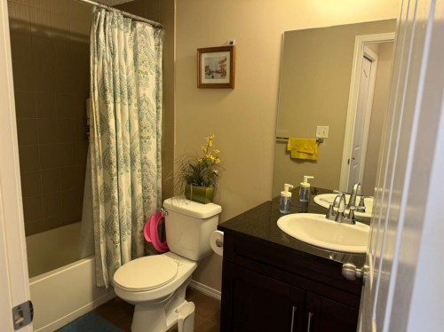 202-7210 80 Avenue Ne, Calgary, AB - Indoor Photo Showing Bathroom