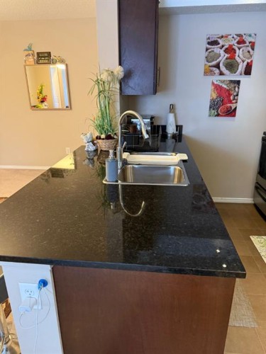 202-7210 80 Avenue Ne, Calgary, AB - Indoor Photo Showing Kitchen
