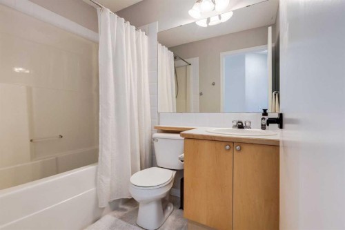 488 Prestwick Circle Se, Calgary, AB - Indoor Photo Showing Bathroom