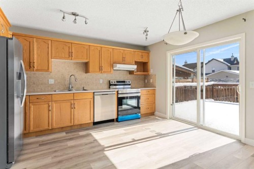185 Copperfield Common Se, Calgary, AB - Indoor Photo Showing Kitchen With Double Sink