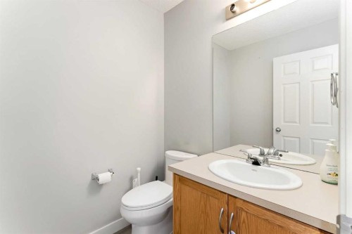 185 Copperfield Common Se, Calgary, AB - Indoor Photo Showing Bathroom