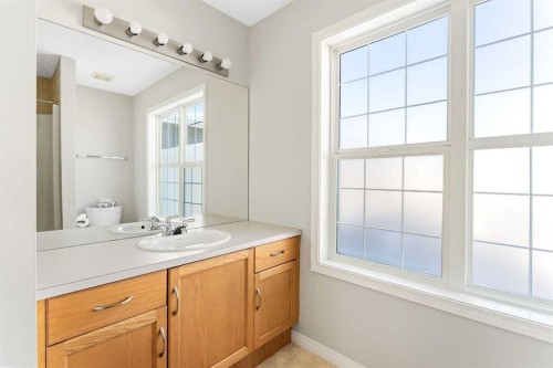 185 Copperfield Common Se, Calgary, AB - Indoor Photo Showing Bathroom