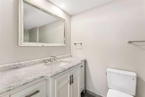 185 Copperfield Common Se, Calgary, AB - Indoor Photo Showing Bathroom