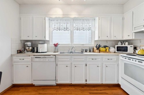 87 Edforth Road Nw, Calgary, AB - Indoor Photo Showing Kitchen With Double Sink