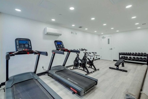 1305-111 Wolf Creek Drive Se, Calgary, AB - Indoor Photo Showing Gym Room