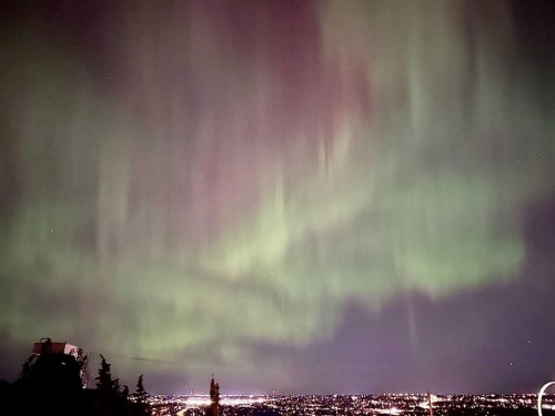 61 Cougar Ridge Cove Sw, Calgary, AB -  With View