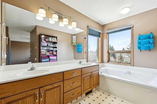 111 Scenic Ridge Court Nw, Calgary, AB - Indoor Photo Showing Bathroom