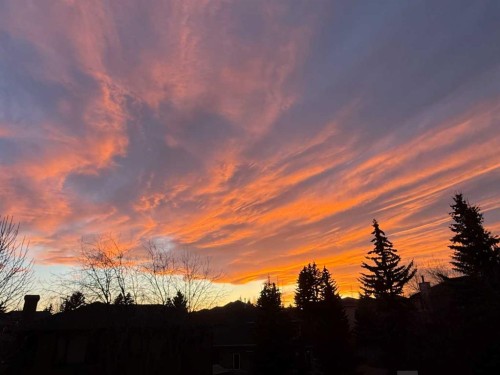 111 Scenic Ridge Court Nw, Calgary, AB - Outdoor With View