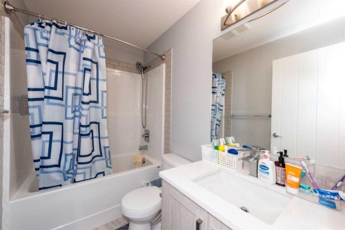 116-4350 Seton Drive Se, Calgary, AB - Indoor Photo Showing Bathroom