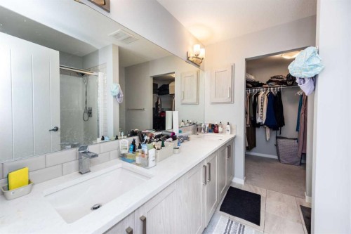 116-4350 Seton Drive Se, Calgary, AB - Indoor Photo Showing Bathroom