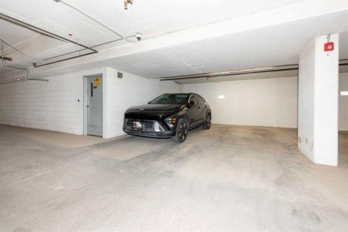 116-4350 Seton Drive Se, Calgary, AB - Indoor Photo Showing Garage
