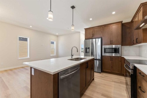 90 Homestead Circle Ne, Calgary, AB - Indoor Photo Showing Kitchen With Stainless Steel Kitchen With Double Sink With Upgraded Kitchen