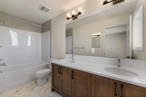 90 Homestead Circle Ne, Calgary, AB - Indoor Photo Showing Bathroom