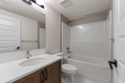 90 Homestead Circle Ne, Calgary, AB - Indoor Photo Showing Bathroom